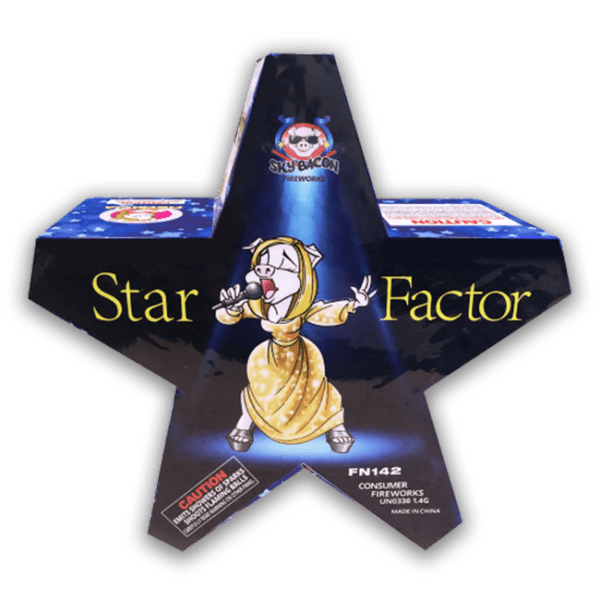 Star Factor Fireworks - Regular Fountain